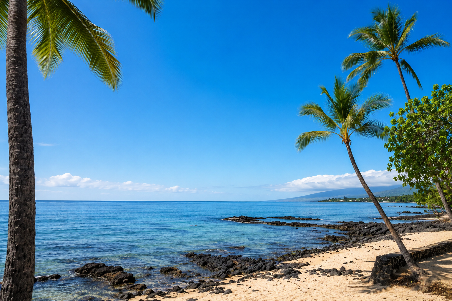 The Boogie Board Was Born on Aliʻi Drive, and That Says a Lot About Kona Living article image